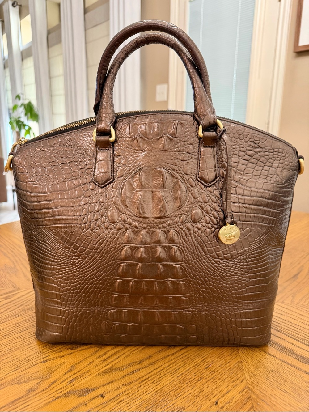 VINTAGE EUC Brahmin Croc-Embossed Metallic Brown Leather Bag
